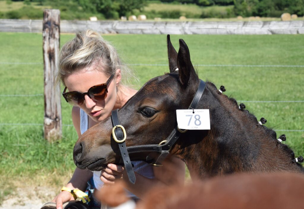 Camille it boy alias cheval poney présentation