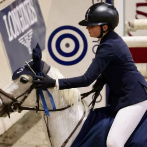 poney remise de prix