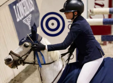 poney remise de prix