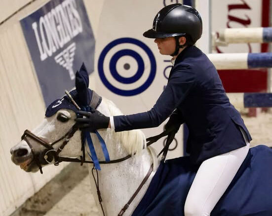poney remise de prix