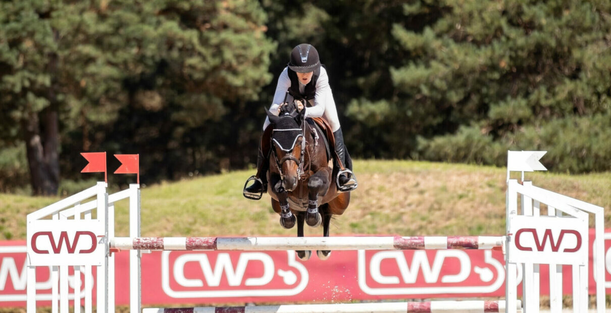 étalon saut CSO poney 7 ans