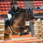 Poney saut obstacles CSO
