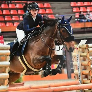 Poney saut obstacles CSO