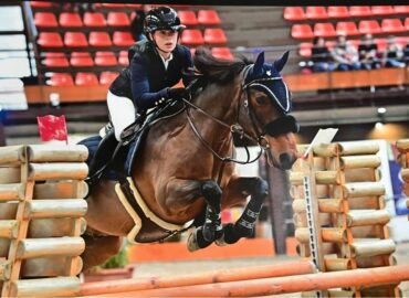 Poney saut obstacles CSO