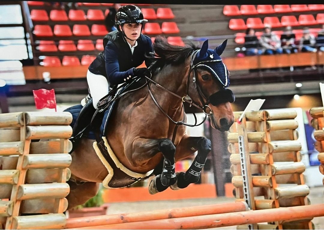 Poney saut obstacles CSO